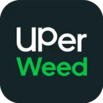 Ottawa Cannabis Store