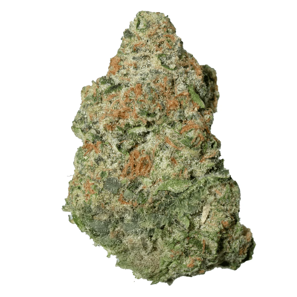 Astro Chimp product image 2