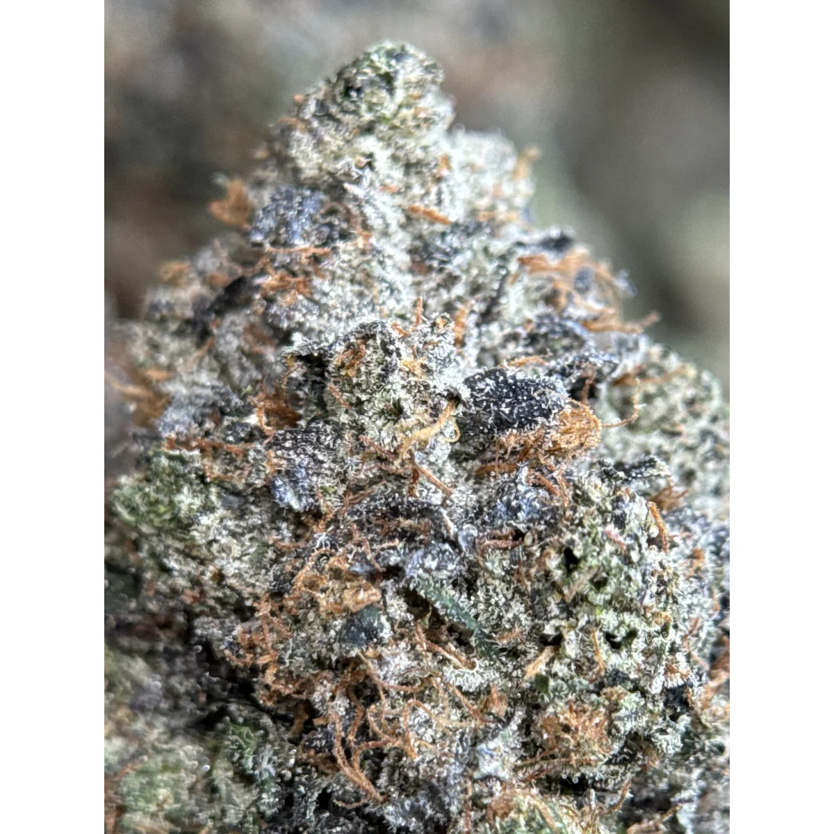Death Bubba product image 2