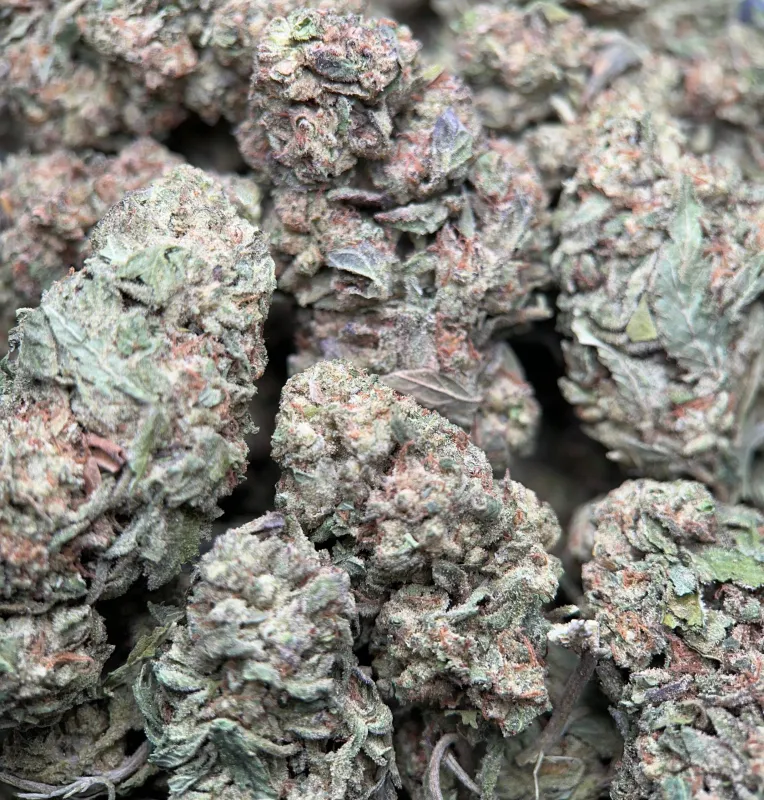 BC Pink Kush product image 4