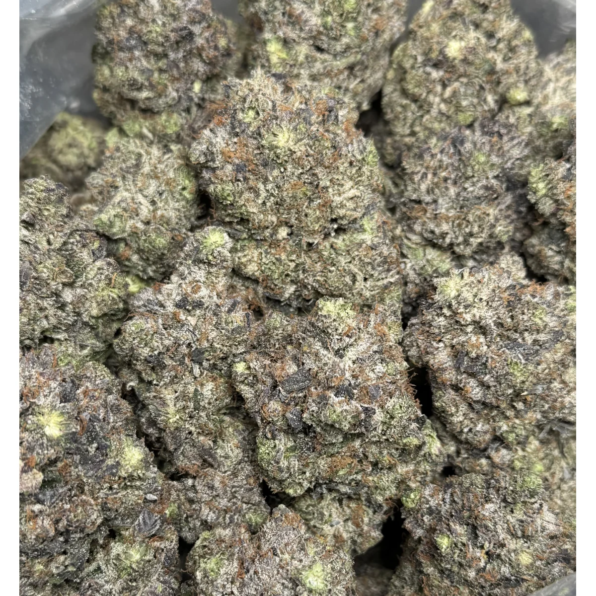 Black Roses product image 4
