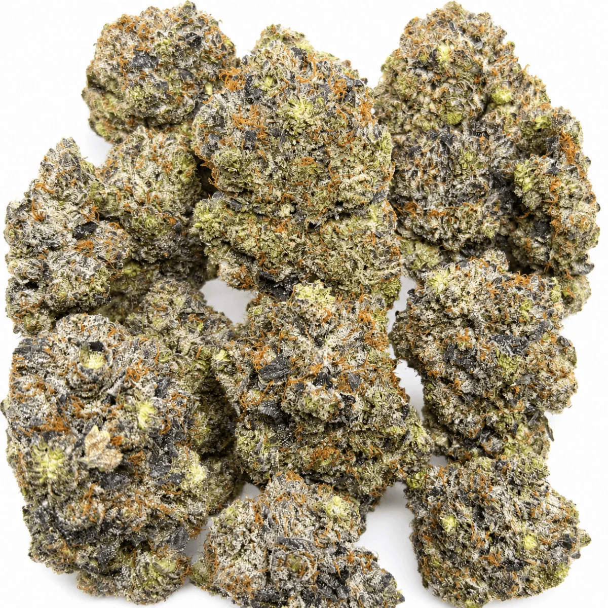 Black Roses product image 2
