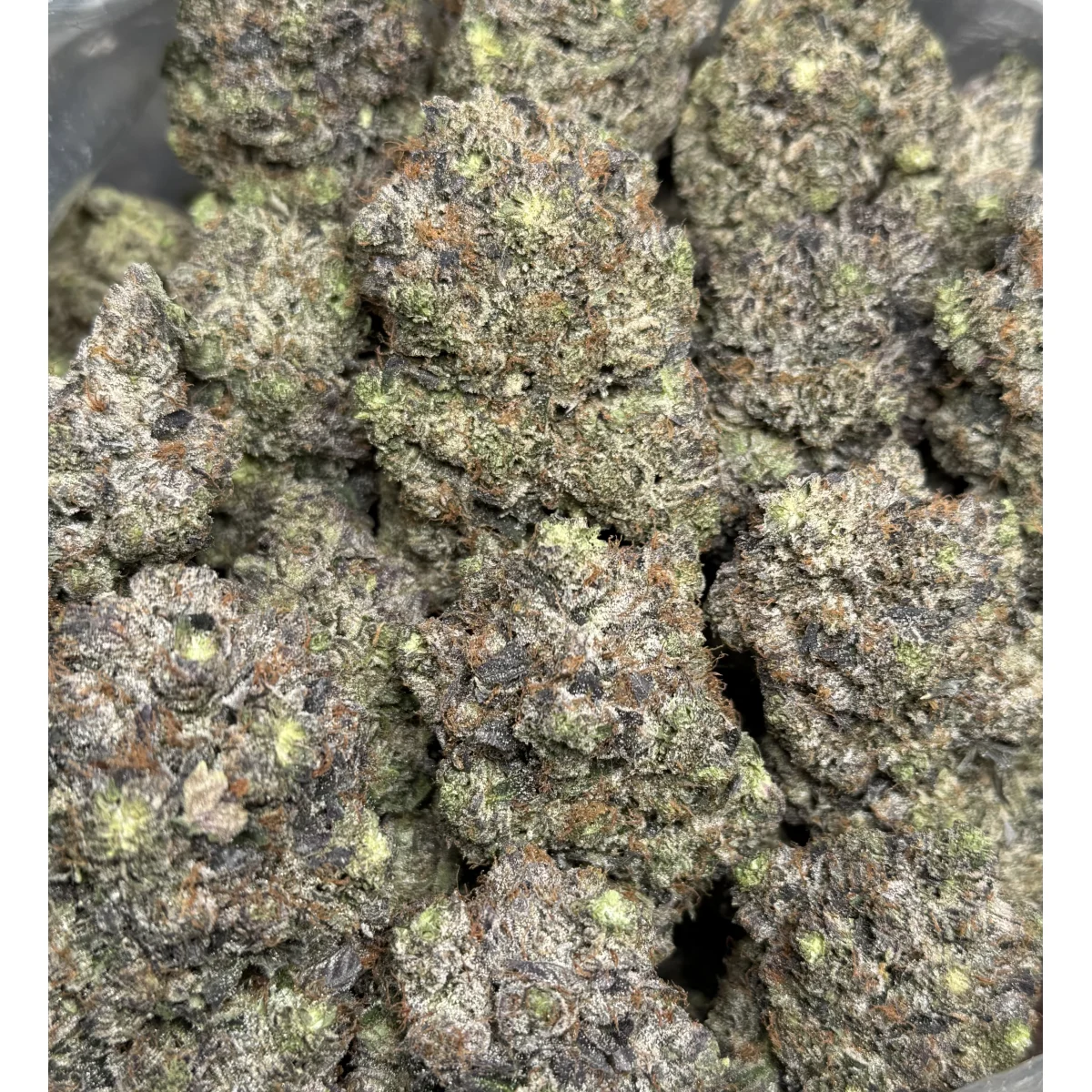 Black Roses product image 3