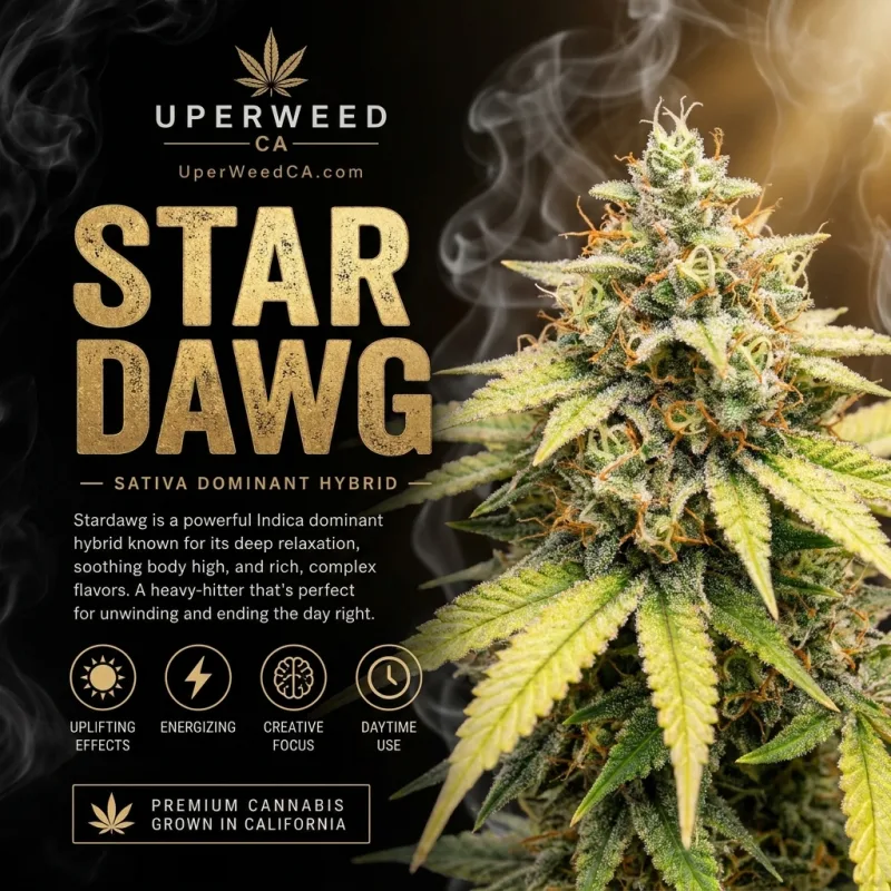 Stardawg