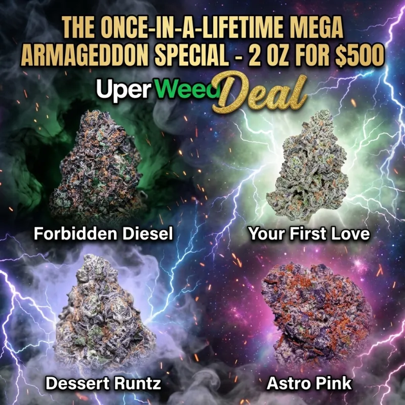 The Once-In-A-Lifetime Mega Armageddon Special - 2 Oz for $500 product image 2