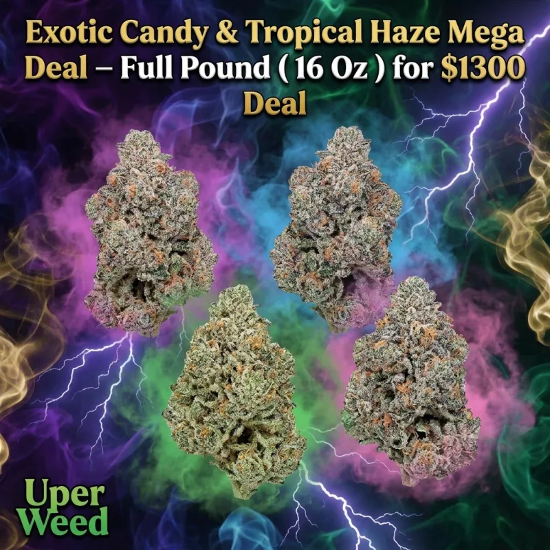 Exotic Candy & Tropical Haze Mega Deal – Full Pound ( 16 Oz ) for $1300 product image 4