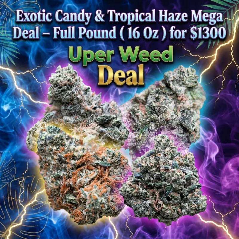 Exotic Candy & Tropical Haze Mega Deal – Full Pound ( 16 Oz ) for $1300 product image 2