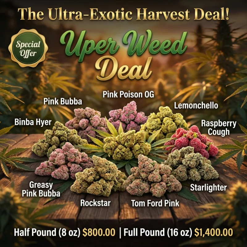 The Ultra-Exotic Harvest Deal! Choose All Legendary Strains | Half Pound (8 oz) $800.00 | Full Pound (16 oz) $1,400.00 product image 2
