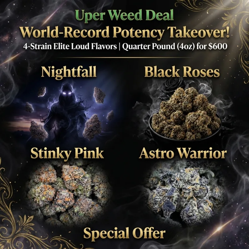 World-Record Potency Takeover! 4-Strain Elite Loud Flavors | Quarter Pound (4oz) for $600 product image 2