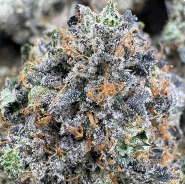 Death Tuna (Cali Bricks) product image 2