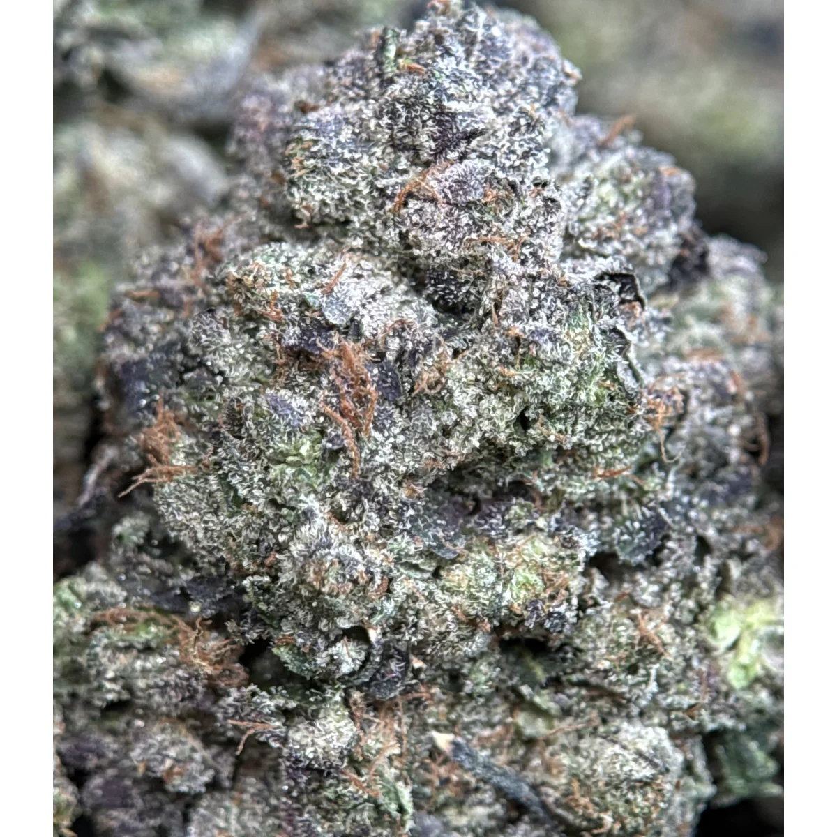 Pink Ice product image 3