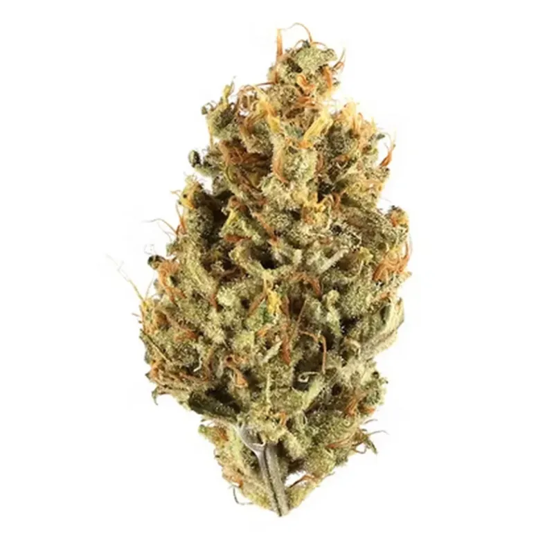 Wedding Glue